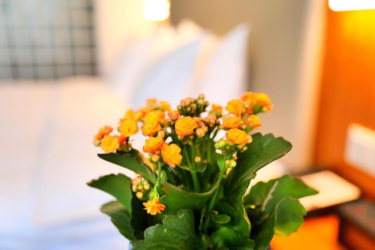 Holiday Inn Express Luoyang Xiyuan Bagian luar foto